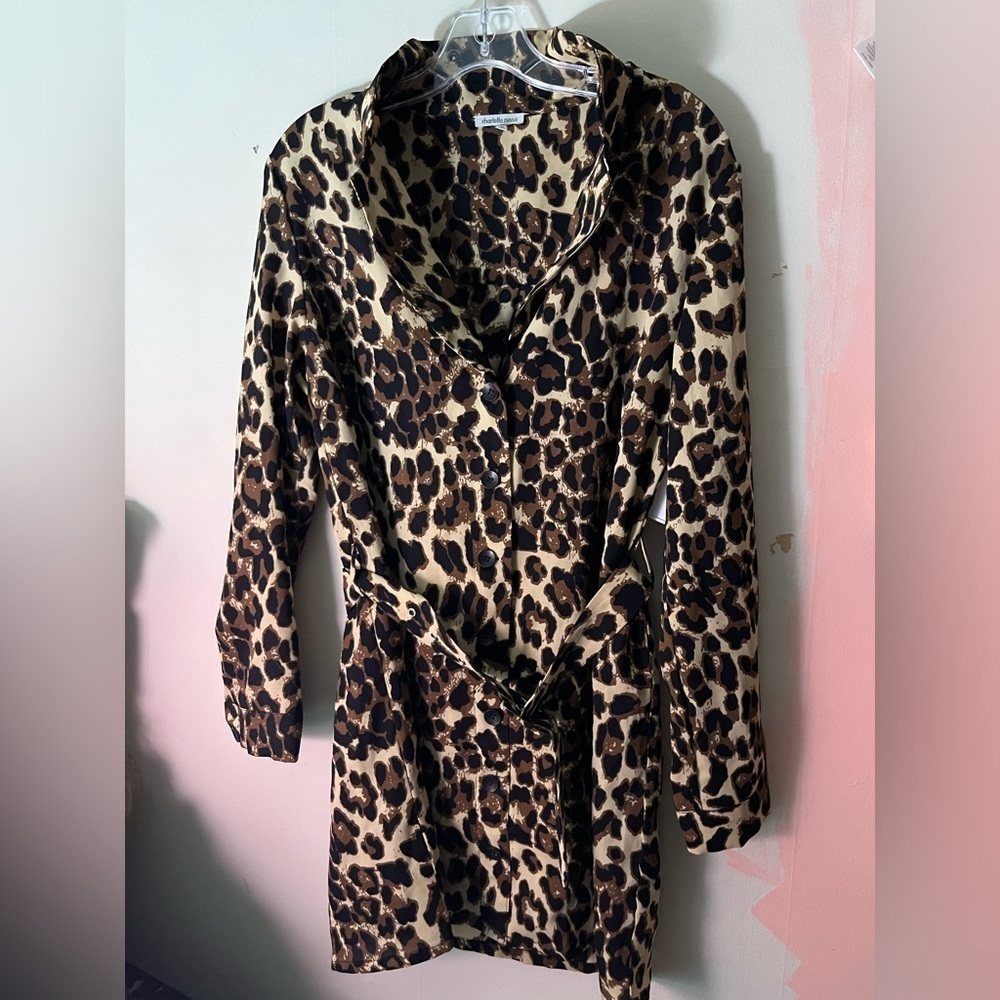 Charlotte Russe Leopard Print Long Sleeve Dress